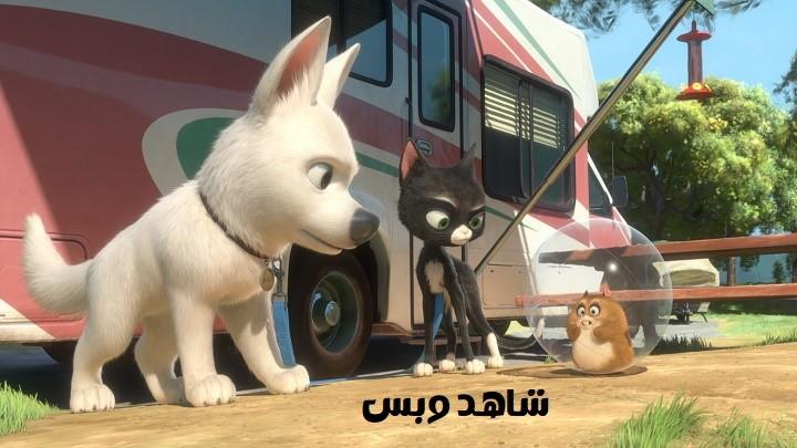 مشاهدة فيلم Bolt 2008 مترجم