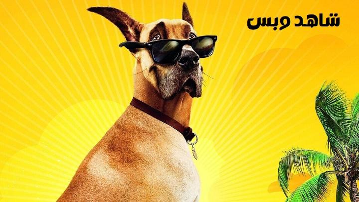 مشاهدة فيلم Marmaduke 2010 مترجم