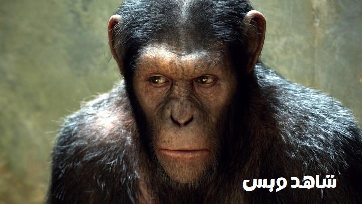 مشاهدة فيلم Rise of the Planet of the Apes 2011 مترجم