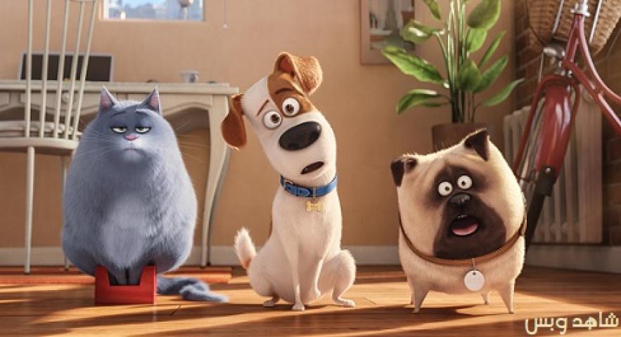 مشاهدة فيلم The Secret Life of Pets 2016 مترجم