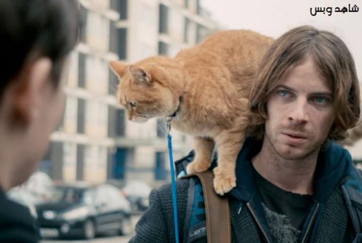 مشاهدة فيلم A Street Cat Named Bob 2016 مترجم