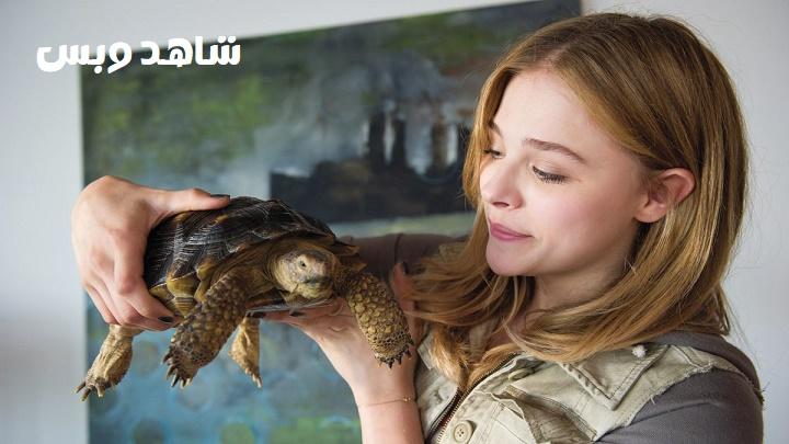 مشاهدة فيلم Laggies 2014 مترجم