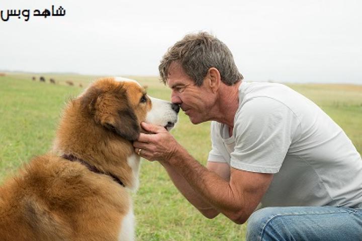 مشاهدة فيلم A Dog's Purpose 2017 مترجم