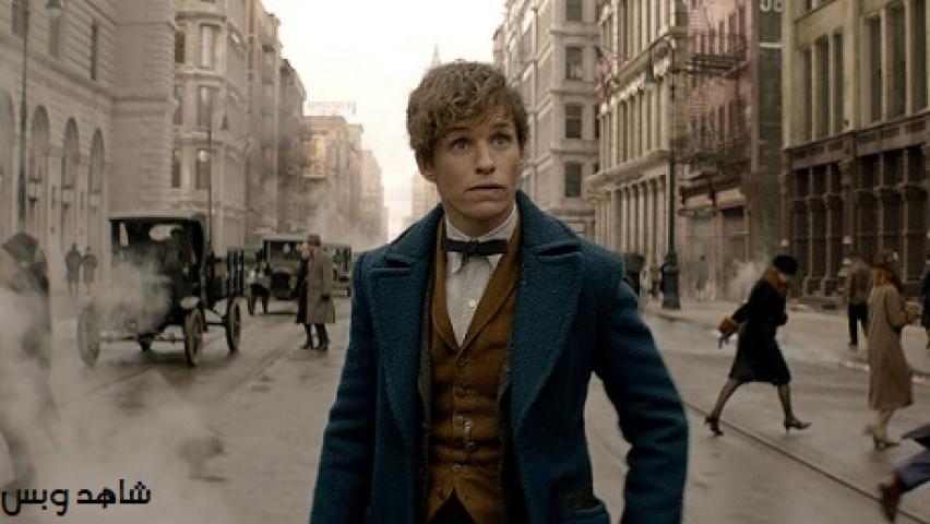 مشاهدة فيلم Fantastic Beasts and Where to Find Them 2016 مترجم