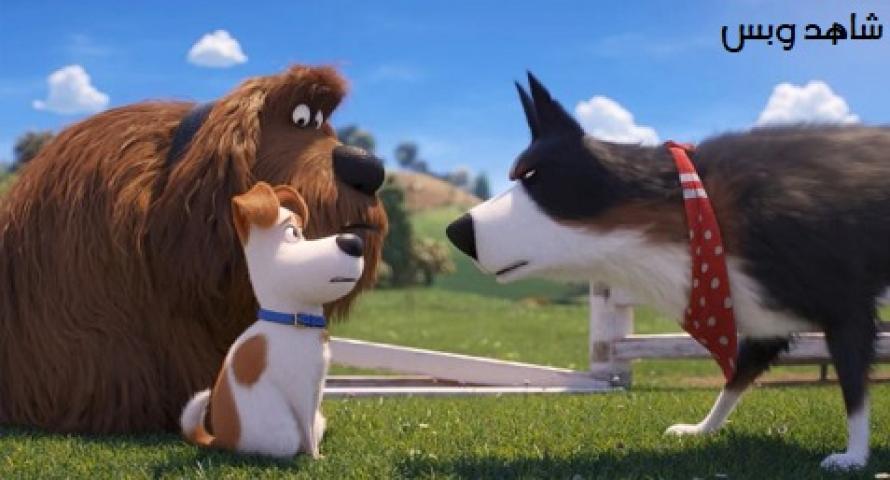 مشاهدة فيلم The Secret Life of Pets 2 2019 مترجم