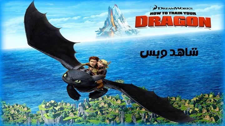 مشاهدة فيلم How to Train Your Dragon 1 2010 مترجم