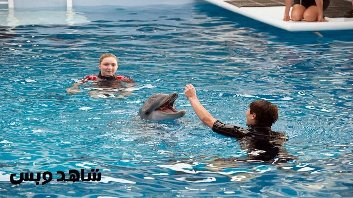 مشاهدة فيلم Dolphin Tale 2 2014 مترجم